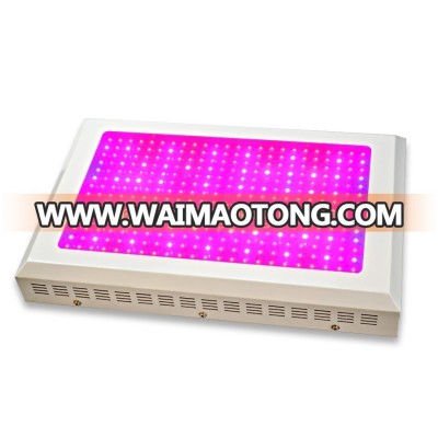 customize full spectrum 380nm~830mm white led grow light 1000W for pompom flowers Malaysia Germany European US